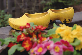 Sapatos