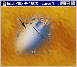 tutorial5