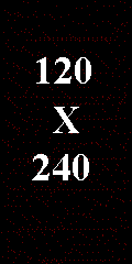 120 x 240 Pixels (Banner Vertical)